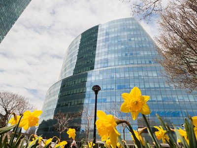 Exterior of CUNY Law building with view of daffodils in the foreground.