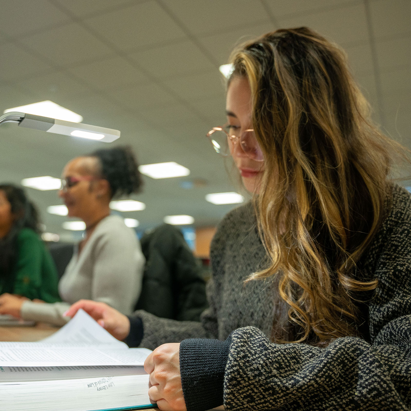 Student studying law book in the library