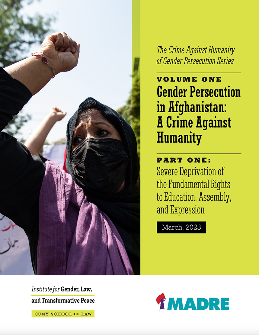 Cover of Volume One: Gender Persecution in Afghanistan: A crime against humanity, featuring a woman wearing a hijab with raised fist.