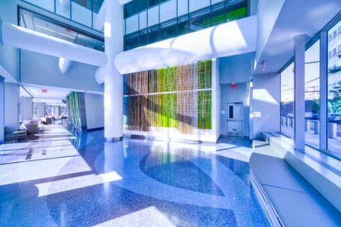 First Floor lobby with bamboo evergreen art and industrial architecture