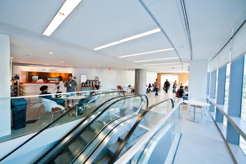 Escalator to second floor cafe area