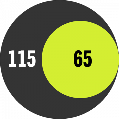 Circular graphic showing 115 applicants, with 65 funded for public interest summer grants.